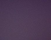 Pepa Molina Flamenco Dance Academy | Dance Class Sydney