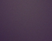 Pepa Molina Flamenco Dance Academy | Dance Studios Sydney