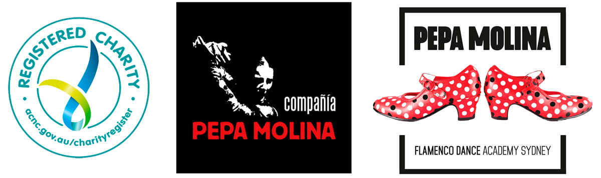Pepa Molina Flamenco Dance Academy | Dance Studios Sydney